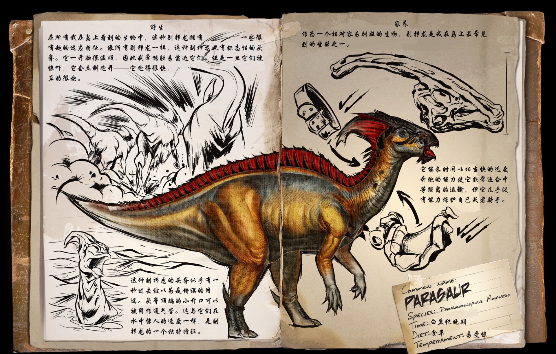 恐龙岛怎么存龙顶龙