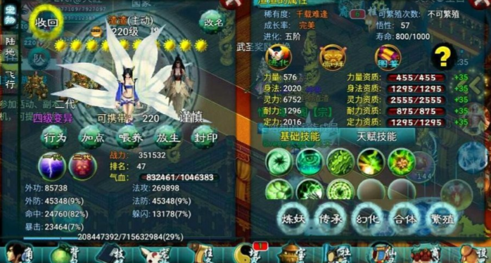 忘仙宠物都有哪些