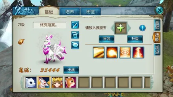 诛仙手游主斗宠物技能怎么搭配