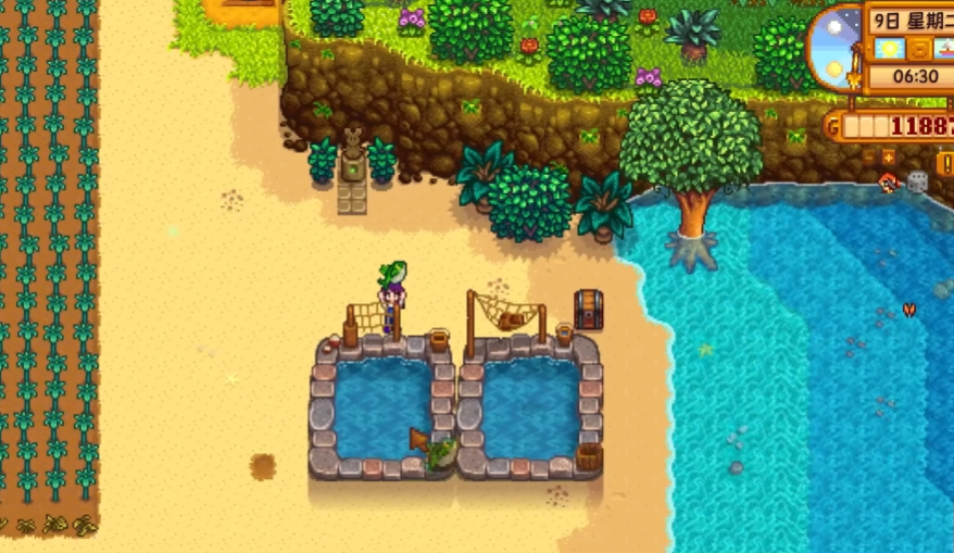 星露谷物语海草哪里买