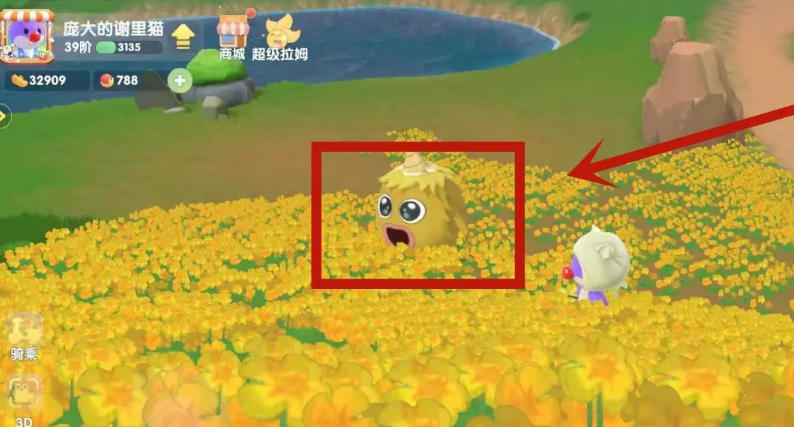 摩尔庄园怎么抓贪婪毛毛头