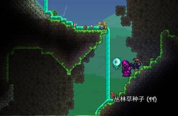 泰拉瑞亚丛林草种子怎么获得