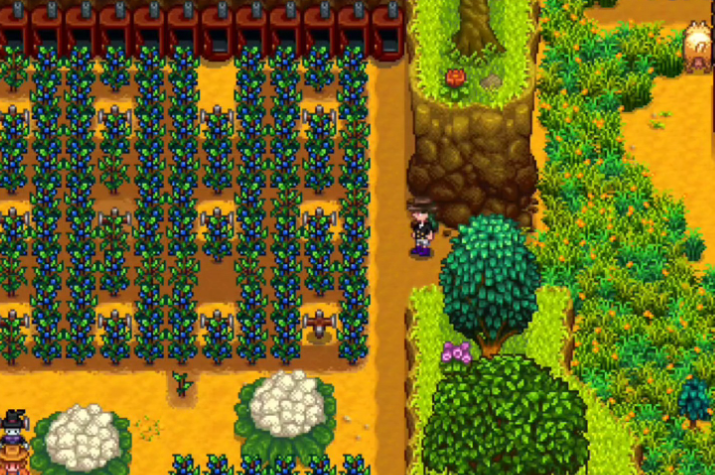 星露谷物语夏天怎么赚钱最快